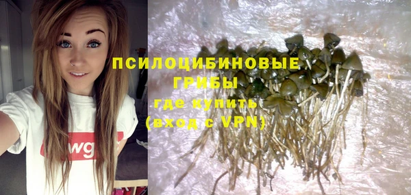 герыч Кинешма