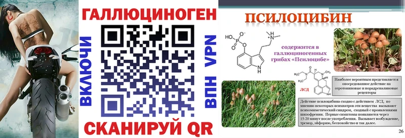 Купить где Зеленогорск Галлюциногенные грибы мицелий